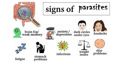 ParasiteInfection